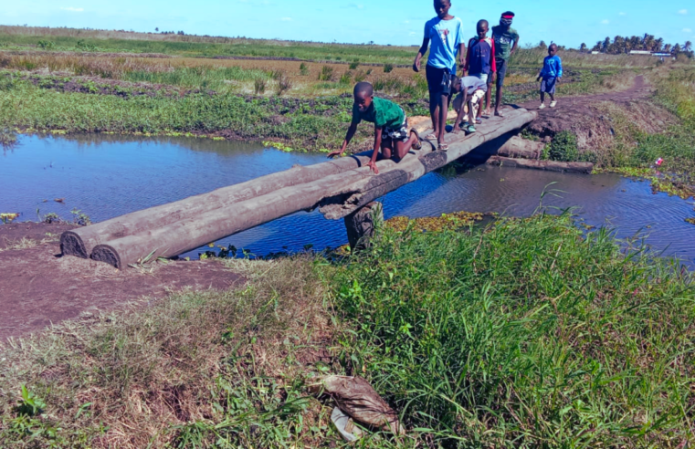 Moradores da Manga Mascarenhas Exigem Ponte Emergencial na Beira