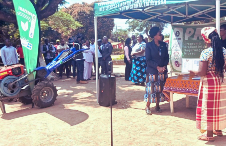 Mais de 14 Mil Famílias no Niassa Beneficiadas por Apoio Agrícola